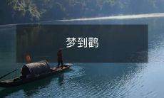 在睡梦中遇到了优美飞舞的大鹳,感受到身心灵的统一与天地交汇