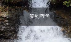 在清晨醒来时回忆着细腻柔和的鱼鳞和它那优雅生动的游动姿态,关于梦到鲤鱼令人意犹未尽的美好想象和心灵启示