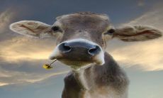 97年出生的人在2023年将年满26岁,将来在2023年的运势是吉是凶?