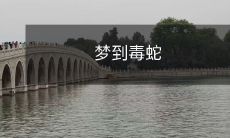 在梦中经历毒蛇的惊险体验:一个令人毛骨悚然的梦境描写