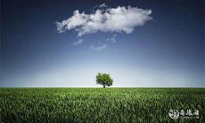 据传说,二月十九日出生的女孩最有财运,那么在一年中哪个月出生的女性最有可能成为富有的女人呢?