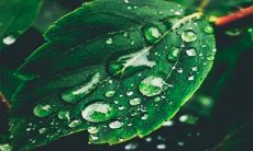 哪个方位能够为人带来财运,让人水命得发财?