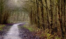 探究大驿土的寓意:在大驿土诞生的月份中,哪一个是最好的选择?