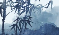 2023年正月十五诞生的男兔将带着自身所拥有的幸运命运展开人生的蓝图