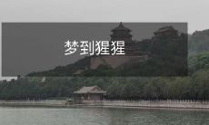 在梦中遇见猩猩：探讨潜意识中的人类和动物联系的象征意义