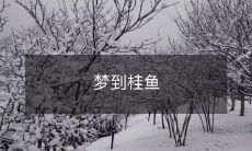 细腻入微的梦幻之旅:睡梦中的桂鱼穿越时空,带您感受意境与现实的无缝连接