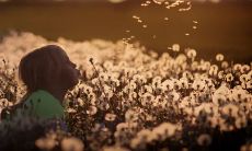 透露出的未来预兆:未来生育缘薄的人脸部特征和相貌特征分析