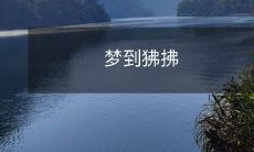 无意中梦到了一只憨厚可爱的狒狒在与自己亲热摩挲的奇妙经历