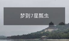 在梦中遭遇七只华丽星瓢虫:一场荒诞而神秘的奇幻之旅