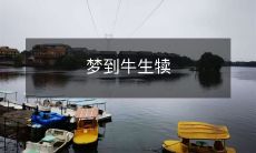 做梦遇见生产牛犊情景:描写梦中的奇妙体验和心理启示