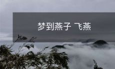 出没在梦境中:燕子的翅膀在空中翱翔