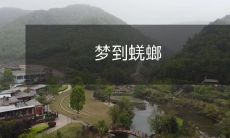 在睡梦中遭遇蟑螂之恐怖体验:个人分享