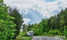 如何选择适合属虎人的微信头像?推荐使用山水画来增加财运