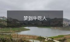 在梦中目睹牛群疯狂啃食人类的令人惊恐场景