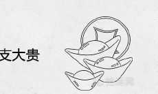 寻找己土逢哪些地支为大贵，应避哪些地支的详细喜忌查询表