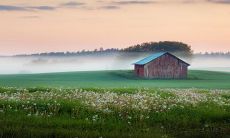 2023年猴年属相的人,走好运!财运收入有望稳定增长!