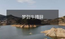 梦见一只牛:探讨潜在的象征意义和心理启示