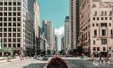 探究属狗者致富之道:住在哪一层楼才是最佳选择?