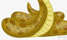 什么是被蛇咬的梦境意义以及对我们的生活带来的启示?