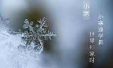 小寒前一天的2020年庚子年十一月二十一日,是否是一个适宜进行某些活动的吉祥日子?