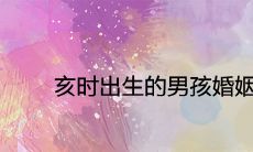 出生于亥时的男孩命运如何:是否会拥有美好的婚姻?