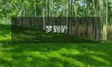 在梦中遇见一只灰色的驴子,并且和它度过了一段神奇而意味深长的旅程,留下深刻的印象与回忆