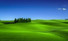 预测2023年将诞生男婴的生肖,研究表明生肖中的虎妈妈更容易生出健康男孩!