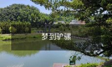 在梦中遇到驴骡的奇妙经历：揭示潜意识中的智慧和生命启示！