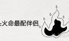 谁是1995年山头火所配伍中最佳的搭档?