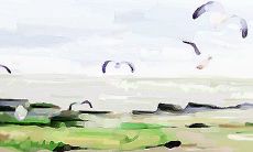 介绍:源于古典文化、历经千年,经久不衰的蒙古族刺绣艺术