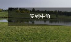 在梦中见到牛角,意味着什么?探讨梦境中牛角的象征意义与内涵