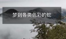 在梦中遇见身披五颜六色光芒的巨蛇们