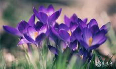 水火既济的八字是否影响日照江河?水命和火命是否具有相克关系?