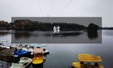 壳里的珍珠:揭开蚌的神秘面纱,了解生物多样性和自然演化过程