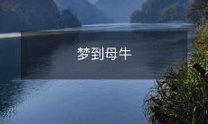 在梦中遇见母牛，它们的身影和象征意义将会带来怎样的启示？