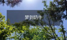 在梦中遇见奶牛：寓意深刻的梦境启示与个人心理分析