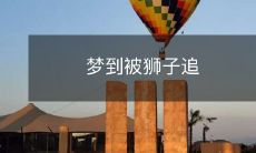 梦中惊险体验：被狮子紧追不舍的惊悚追逐场景