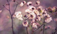 什么是正月初五补财库?如何在吉时进行补财库?