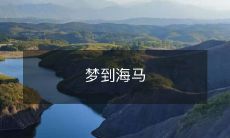 睡梦中遇见海底世界的奇妙冒险:惊喜连连的海马之旅