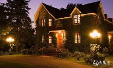 门前之树: 如何应对门口有树及门前枯树所带来的影响?