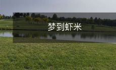 在梦中遇见了神秘的虾米,它们带来了怎样的预兆和启示?