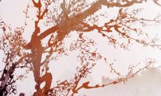 正月初五是否宜剪发?揭晓2022新春理发吉日,打造更美好的新年形象!