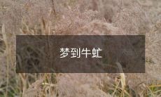 在梦中遇见牛虻：窥视潜意识中的不确定性和挑战性！