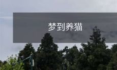 的意义及其探究——猫的象征意义与在梦境中的出现表达的暗示分析