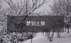 在梦中遭遇土狼的惊险经历:一个令人毛骨悚然的叙述