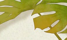 2023年初一十五出生的人可能会拥有菩萨的加持与佛缘!