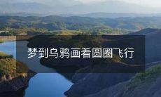 我梦见了乌鸦飞行在一个无限循环的圆圈里的场景