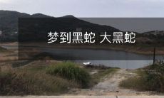 缠身缠脑,引起惊恐:在梦中遭遇巨大的黑色蛇盘绕缠身,让人不寒而栗!