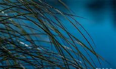 无法改变的八字命运,如何改善命运的方法和技巧