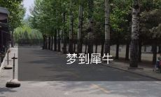 在梦中与犀牛相遇：挑战恐惧、探索未知、掌握内心力量的奇妙启示